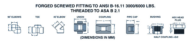 Pipe fittings, flanges, Stainless steel, elbows, tees, reducers, stubends, unions, caps, sockets, plugs, nipples, Socketweld fittings