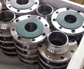 Hastelloy Flanges